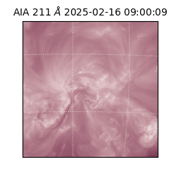saia - 2025-02-16T09:00:09.626000