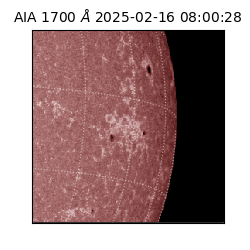 saia - 2025-02-16T08:00:28.720000