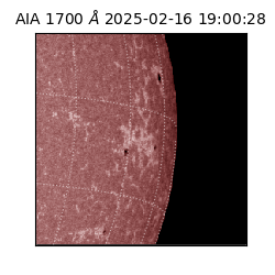 saia - 2025-02-16T19:00:28.720000