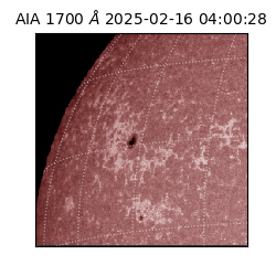 saia - 2025-02-16T04:00:28.717000