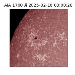 saia - 2025-02-16T08:00:28.720000