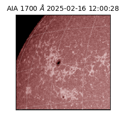 saia - 2025-02-16T12:00:28.720000