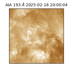 saia - 2025-02-16T20:00:04.847000