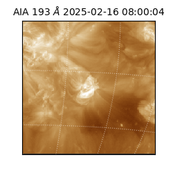 saia - 2025-02-16T08:00:04.843000