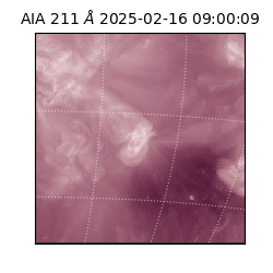 saia - 2025-02-16T09:00:09.626000