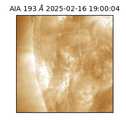 saia - 2025-02-16T19:00:04.846000