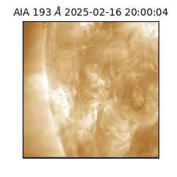 saia - 2025-02-16T20:00:04.847000