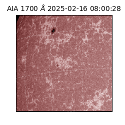 saia - 2025-02-16T08:00:28.720000