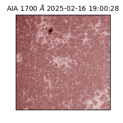 saia - 2025-02-16T19:00:28.720000