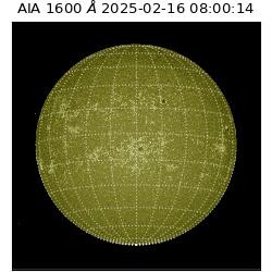 saia - 2025-02-16T08:00:14.125000
