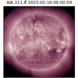 saia - 2025-02-16T09:00:09.626000