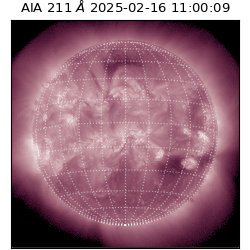 saia - 2025-02-16T11:00:09.631000