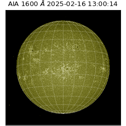 saia - 2025-02-16T13:00:14.126000