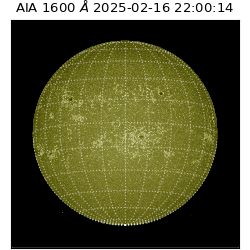 saia - 2025-02-16T22:00:14.129000