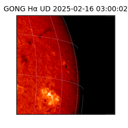 gong - 2025-02-16T03:00:02