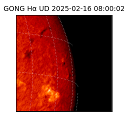 gong - 2025-02-16T08:00:02