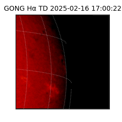 gong - 2025-02-16T17:00:22