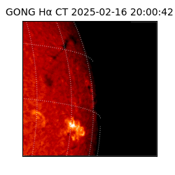 gong - 2025-02-16T20:00:42