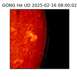 gong - 2025-02-16T08:00:02