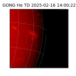gong - 2025-02-16T14:00:22