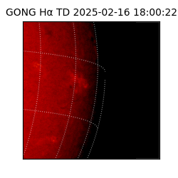 gong - 2025-02-16T18:00:22