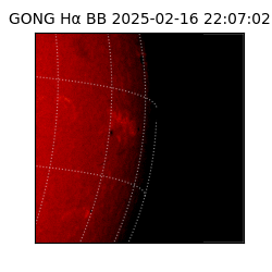 gong - 2025-02-16T22:07:02