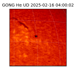gong - 2025-02-16T04:00:02