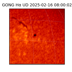 gong - 2025-02-16T08:00:02