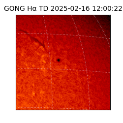 gong - 2025-02-16T12:00:22