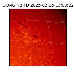 gong - 2025-02-16T13:00:22