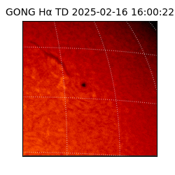 gong - 2025-02-16T16:00:22