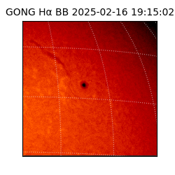 gong - 2025-02-16T19:15:02