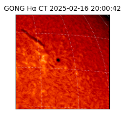 gong - 2025-02-16T20:00:42