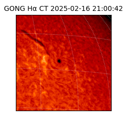 gong - 2025-02-16T21:00:42