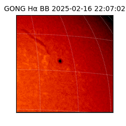 gong - 2025-02-16T22:07:02