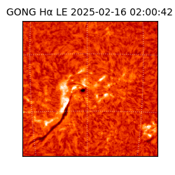 gong - 2025-02-16T02:00:42