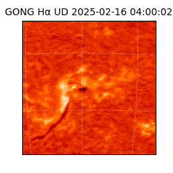 gong - 2025-02-16T04:00:02