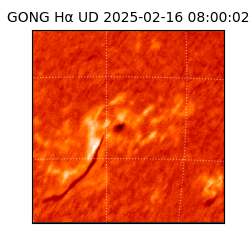 gong - 2025-02-16T08:00:02