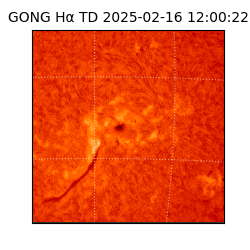 gong - 2025-02-16T12:00:22