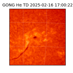 gong - 2025-02-16T17:00:22