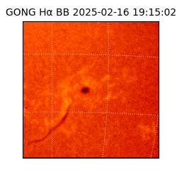gong - 2025-02-16T19:15:02