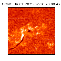 gong - 2025-02-16T20:00:42
