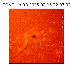 gong - 2025-02-16T22:07:02