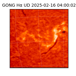 gong - 2025-02-16T04:00:02