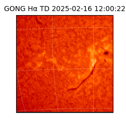 gong - 2025-02-16T12:00:22