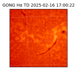gong - 2025-02-16T17:00:22