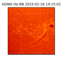 gong - 2025-02-16T19:15:02
