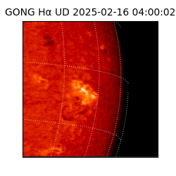 gong - 2025-02-16T04:00:02