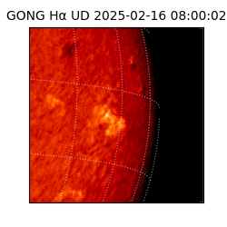 gong - 2025-02-16T08:00:02