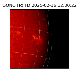 gong - 2025-02-16T12:00:22
